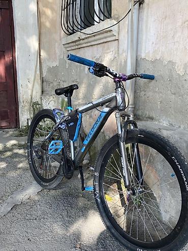 İdman velosipedləri: Velocruz dağ velosipedi - Çərçivə: Alüminium Velocruz, gümüş/mavi — 2