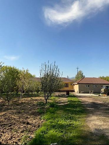 Продажа коттеджей и домов: 6 комнат, 168 м², 35 соток, Орловка, Собственник — 24