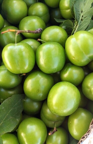hazır biznes market: Göyçaydan bugün gəlib super alçadır 🌿 Çox götürən olsa 5 manatdan