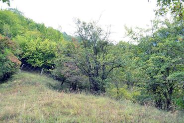Torpaq sahələrinin satışı: 80 sot, Biznes üçün, Barter mümkündür, Kupça (Çıxarış) — 8