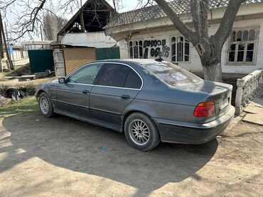 ассенизаторская машина: BMW 5 series: 1996 г., 2.5 л, Механика, Бензин, Седан