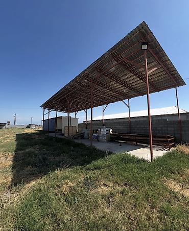 Продажа сельхоз предприятий: Кошара, 40 соток, Действующий, Частично с оборудованием, Электричество, Скважина, Холодная вода — 11