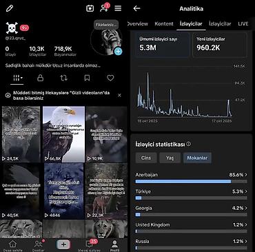 smm işi axtarıram: Instagram/TikTok səhifəsi – motivasiya və heyvan temalı qısa videolar — 1