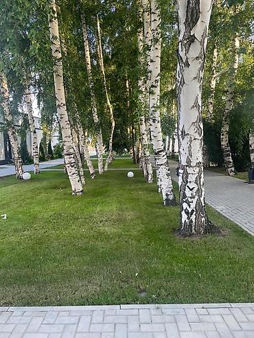 Иссык-Куль 2026: Коттедж, АТЛАНТИС Сары-Ой, Детская площадка, Парковка, стоянка, Охраняемая территория — 9