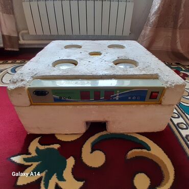 лотки для яиц: Инкубатор для яиц, - Прямоугольная камера из прочного пластика с