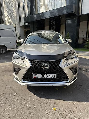lexus nx: Lexus NX: 2019 г., 0.2 л, Автомат, Бензин, Кроссовер — 2