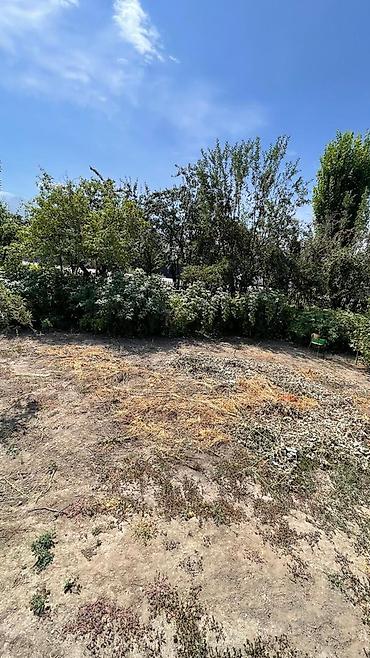 Продажа коттеджей и домов: 5 комнат, 80 м², 20 соток, Бишкек, Маевка с. Собственник — 21