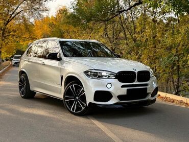 BMW: BMW X5: 2017 г., 3 л, Автомат, Бензин, Внедорожник