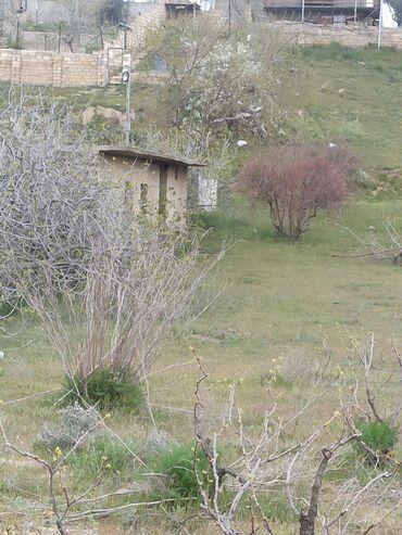 Torpaq sahələrinin satışı: 30 sot, Mülkiyyətçi, Kupça (Çıxarış) — 11