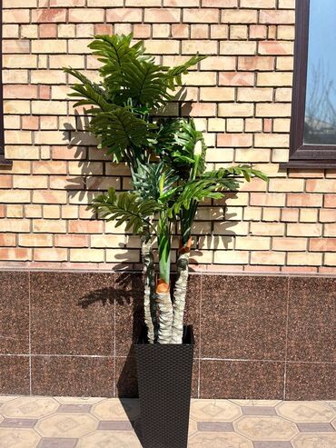 Декоративные цветы: Искусственные деревья и цветы — долговечный и стильный декор без — 7