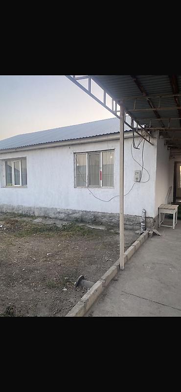 Долгосрочная аренда домов: 50 м², 1 комната — 12