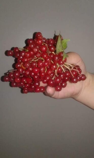 Başqa xidmətlər: Здравствуйте . Готовлю у себя дома заготовки на зиму . Все готовлю сам — 9