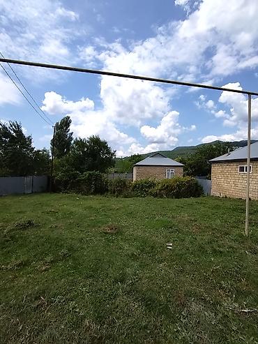 Həyət evləri və villaların satışı: İsmayıllı rayon Maçaxı kəndində 10sot həyətyanı sahəsi olan 1 — 17