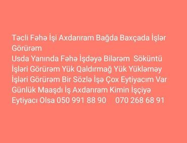 Elektriklər, Elektrik montajçı: Təcili fəhlə işi axdaram işə çox eytiyacım var