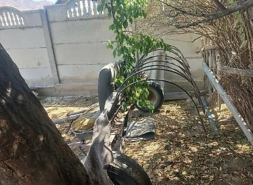 Другие тракторы: Абалы ото жакшы
толка ватсап иштейти — 1