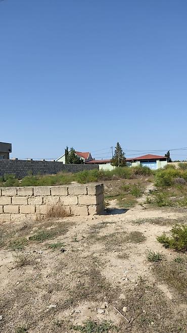 Torpaq sahələrinin satışı: 4 sot, Tikinti, Makler, Kupça (Çıxarış), Texniki pasport — 6