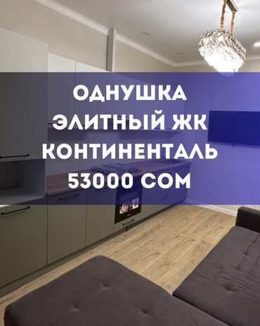 аренда квартиры подселение: 1 бөлмө, Кыймылсыз мүлк агенттиги, Чогуу жашоосу жок, Толугу менен эмереги бар