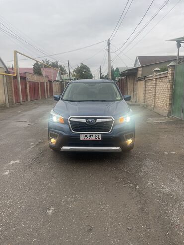 коробка на форестер: Subaru Forester: 2019 г., 2.5 л, Вариатор, Бензин, Внедорожник