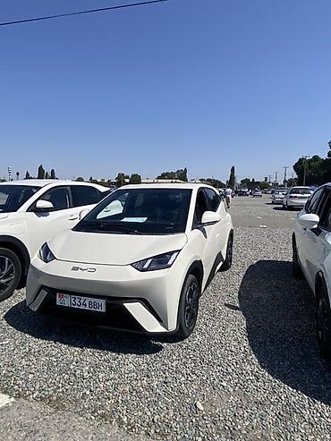 byd дельфин: BYD Dolphin: 2023 г., Автомат, Электромобиль, Хэтчбэк — 1