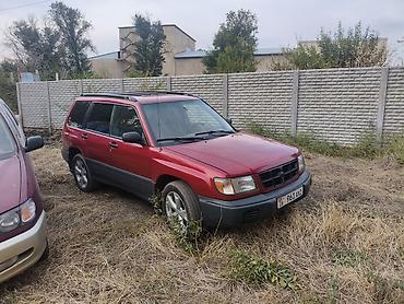 Subaru: Subaru Forester: 1999 г., 2.5 л, Автомат, Бензин, Универсал — 2