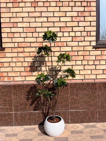 Декоративные цветы: Искусственные деревья и цветы — долговечный и стильный декор без — 12