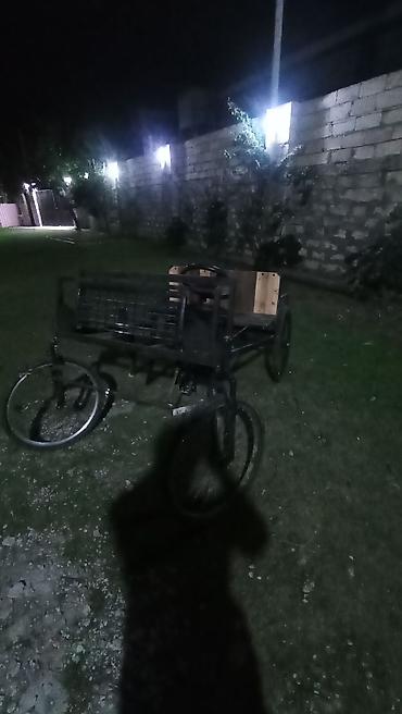 lal ordek balası: Pedallı dördtəkərli arabacı (kvadrisikl tipli) - Çərçivə: möhkəm — 1