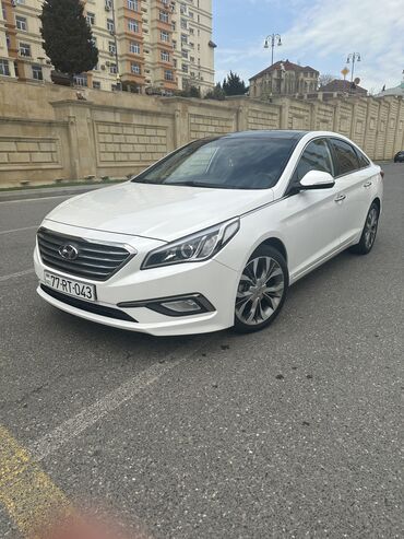 hyundai servis babek: Günlük, Hyundai