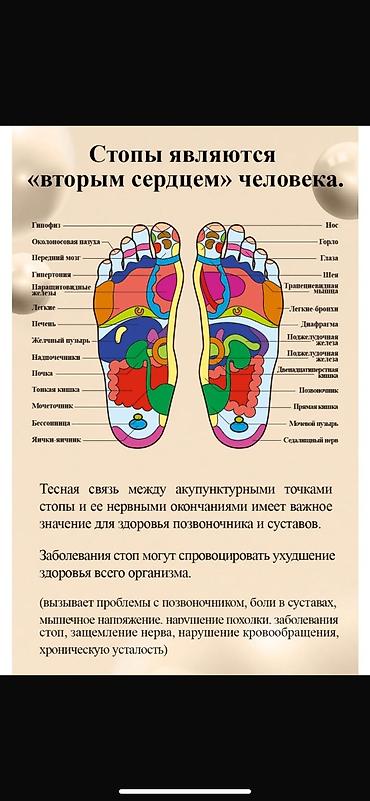 электро стельки: Ортопедические стельки с анионами от компании Health Priority WHIEDA — 4
