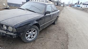 byd e9: BMW 5 series: 2026 г., Седан — 1