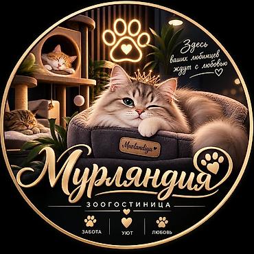 досуи: 🐾 Зоогостиница «Мурляндия» 🐾 Забота, уют и комфорт для ваших любимых — 7