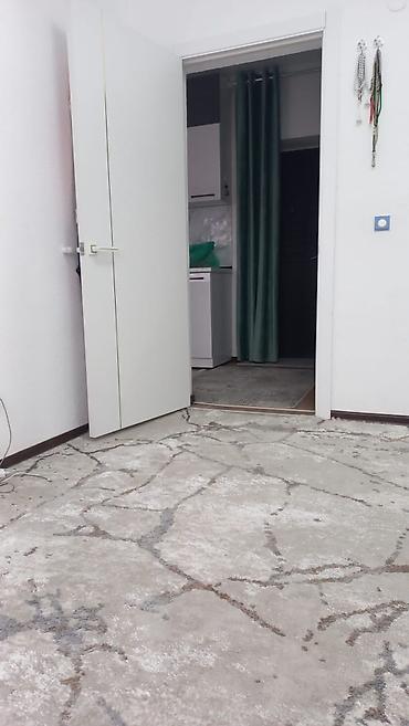 Продажа комнат: Просторная студия/гостиная с кухней, полностью укомплектованная — 14