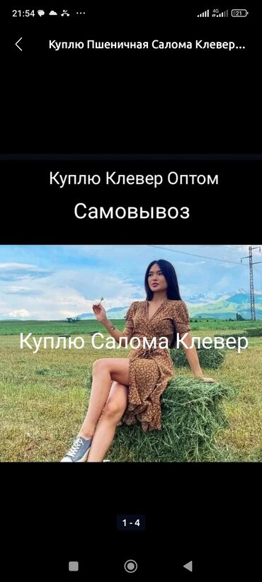 наполнитель для животных: Куплю Закупаем Клевер 1-2-3кос с Поля Солома Сено по рыночной