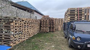 охотничый магазин: Поддон Полет покупаем хороший цена — 4