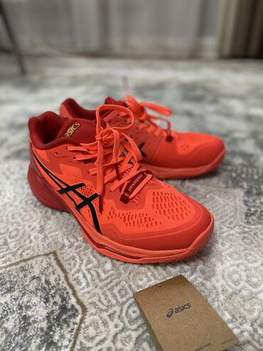 asics кроссовки мужские: Волейбольные кроссовки ASICS SKY ELITE Lux Б/у-в идеальном