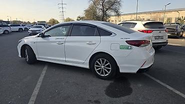 solaris accent: Hyundai Sonata: 2019 г., 2 л, Автомат, Газ, Седан — 4