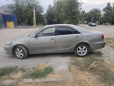 шины камри: Toyota Camry: 2005 г., 2.4 л, Автомат, Бензин, Седан — 4
