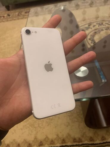Apple iPhone: IPhone SE 2020, Ağ