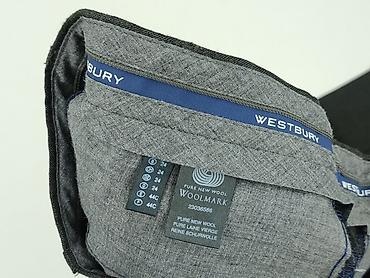 botki pull and bear: Woolmark, Spodnie garniturowe męskie, rozmiar L — 4