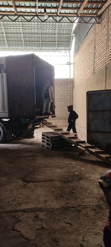 Овощи: Саженцы овощей: Морковь — 14