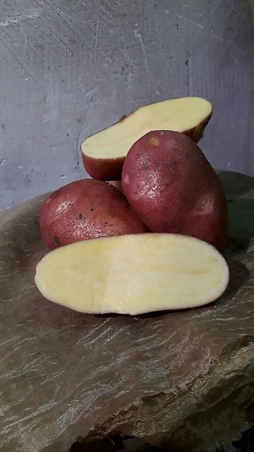 Удобрения и садовая химия: Удобрение Самовывоз — 9