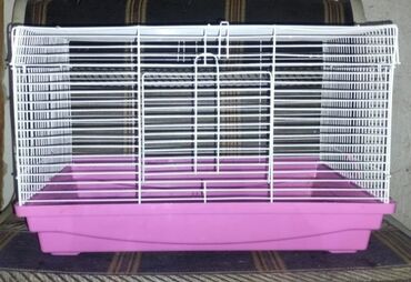 Зоотовары: Клетки для кроликов, морских свинок, ежей, попугаев, хомяков, крыс и — 3