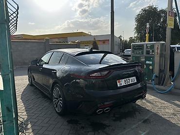 work kiwami: Kia Stinger: 2017 г., 2 л, Автомат, Бензин, Фастбек — 4