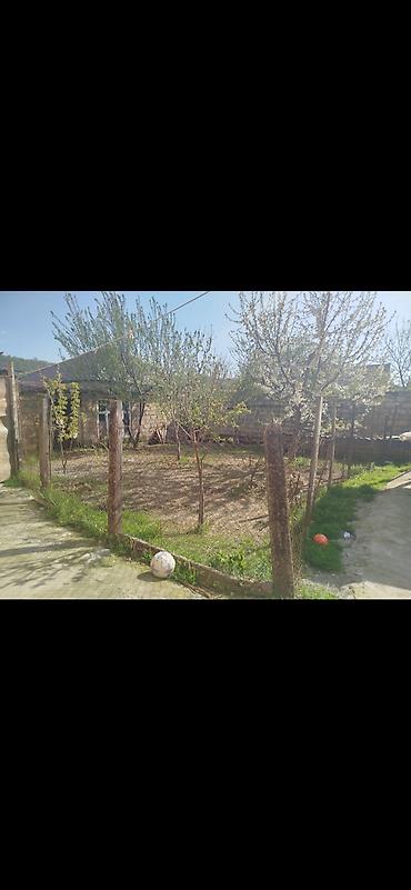 ev elanlari 2022: 2 sot, Tikinti, Mülkiyyətçi, Kupça (Çıxarış) — 1