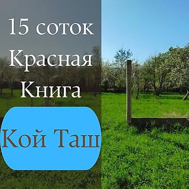 archa group: 15 соток, Для строительства, Договор купли-продажи, Красная книга, Тех паспорт — 1