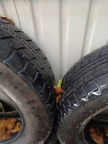 шинный центр с. ново николаевка фото: Шиналар 205 / 60 / R 16, Кыш, Колдонулган, Жеңил унаалар, Thailand, Maxxis