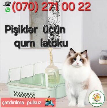 pisik latok: Pişik üçün tualet (qum latoku / qum doldurucusu) Cox gözəl görünüşü