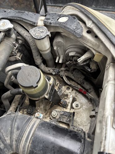 Toyota: Toyota Land Cruiser Prado: 4 l | 2006 il — 10