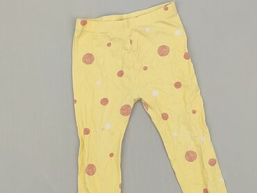 legginsy w stokrotki: Legginsy dziecięce, So cute, 2-3 lat, 98, stan - Dobry