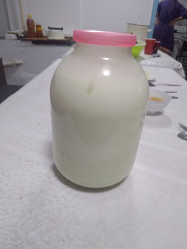 Козы, козлы: Продаю | Козёл (самец) | Зааненская | Для разведения | Племенные — 24