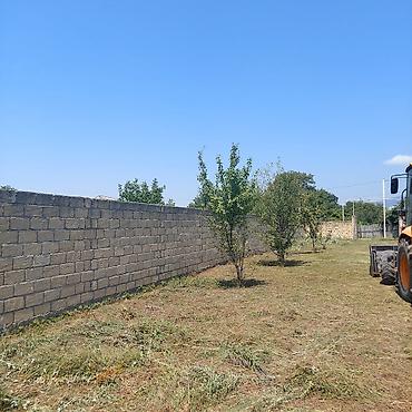 Torpaq: Oğuz r-nu Şirvanlı kəndinin tam mərkəzində,əsas yolun üstündə rayon — 3